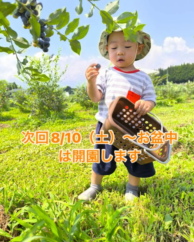 ☆令和7年 生ブルーベリー☆農薬不使用 3㌔ 花がっちゃん アットウ®Z1キロ粒剤｜製品を探す｜製品を探す｜協友アグリ株式会社